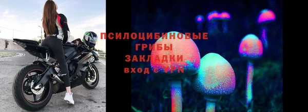 не бодяженный Белокуриха