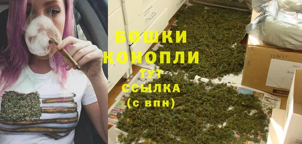 не бодяженный Белокуриха
