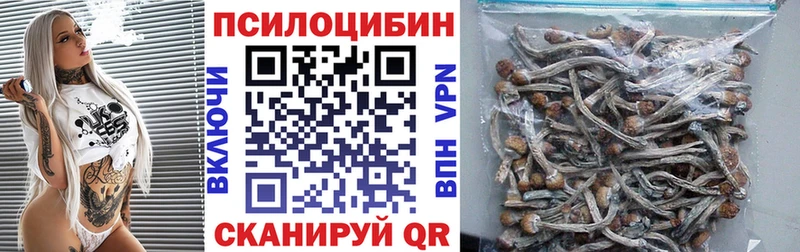 закладки Горняк Псилоцибиновые грибы мухоморы